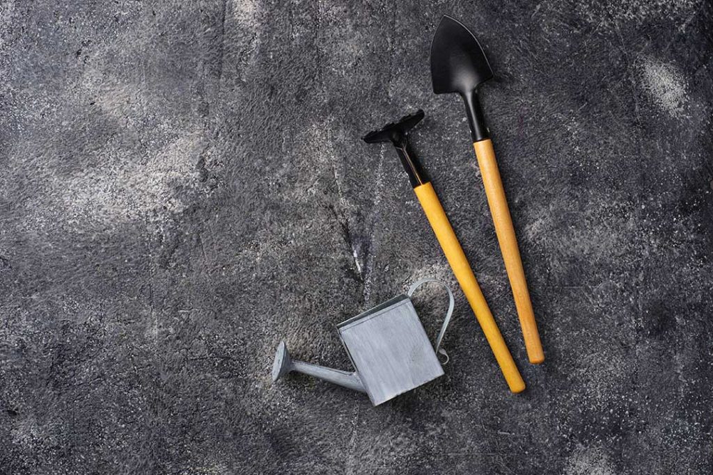 Learn how to start a garden today, whether you want to have fresh ingredients to cook with or just add a splash of green to your backyard! (Flatlay image of a shovel, rake, and watering can on a grey background)