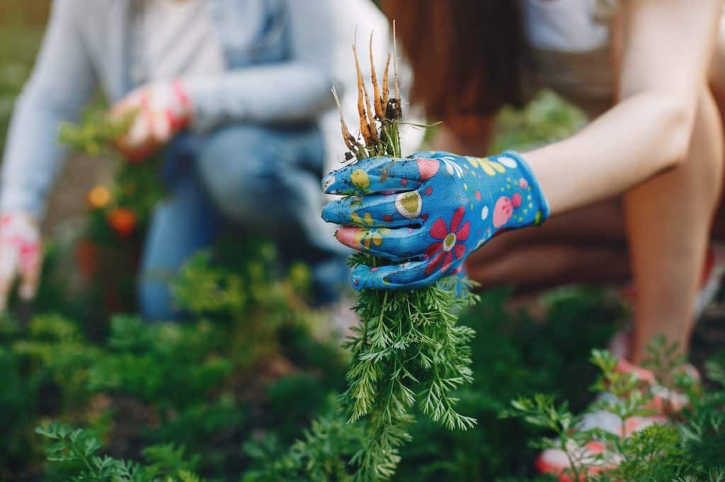 Composting is a great way to reduce waste and improve your garden. Learn more about the benefits of composting and how to get started today! (Pictured: Women working in a garden near the house)