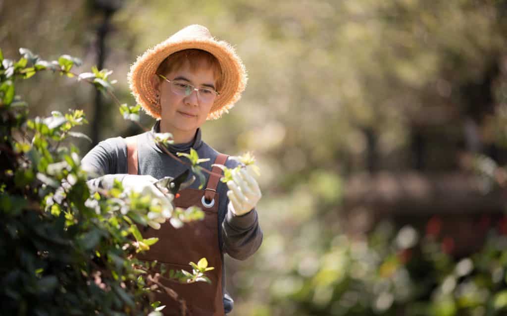 Woman pruning plants