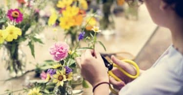 What is floristry? Floristry is the production and trade of flowers and is most commonly associated with beautifully arranged displays of flowers.