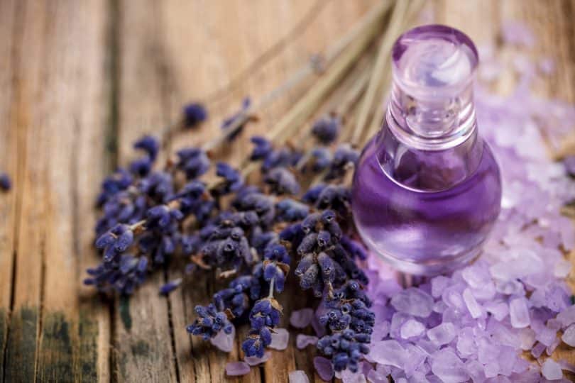 Whether your favorite fragrance is out of stock or you just want to try mixing your own perfume, we'll show you how to make your own roll-on perfume!