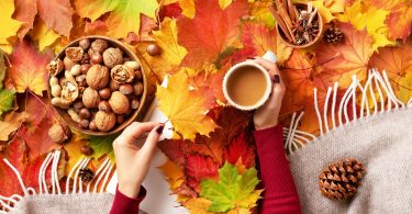 Celebrate the change in season with these autumn craft and activity books to liven up your home and bring a little warmth to your gatherings!