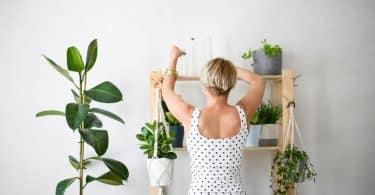 Want to start a garden but don't have the time to manage lots of outdoor plants? Check out our resources and info on indoor gardening supplies!