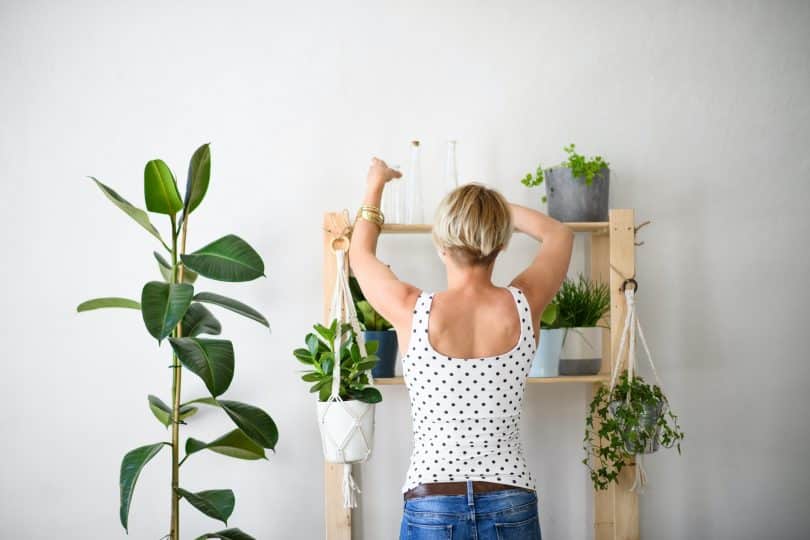 Want to start a garden but don't have the time to manage lots of outdoor plants? Check out our resources and info on indoor gardening supplies!