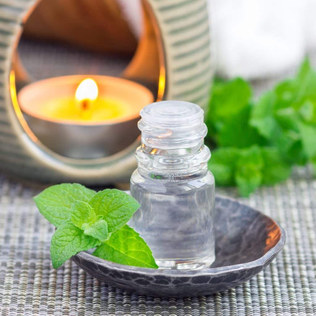 Peppermint essential oil in bottle, square format