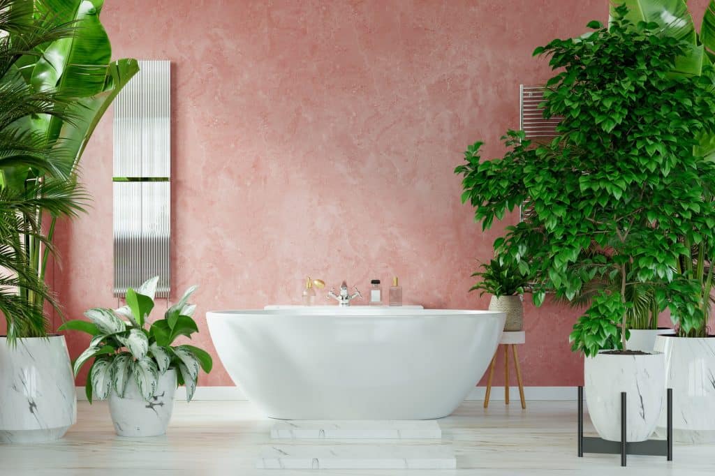 Image shows the modern interior of a bathroom. A bathtub sits in the middle, against a pink wall, with lots of greenery to the sides.