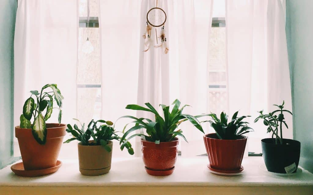 Windowsill accessories