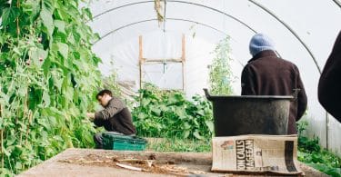 man wearing black jacket inside the greenhouse