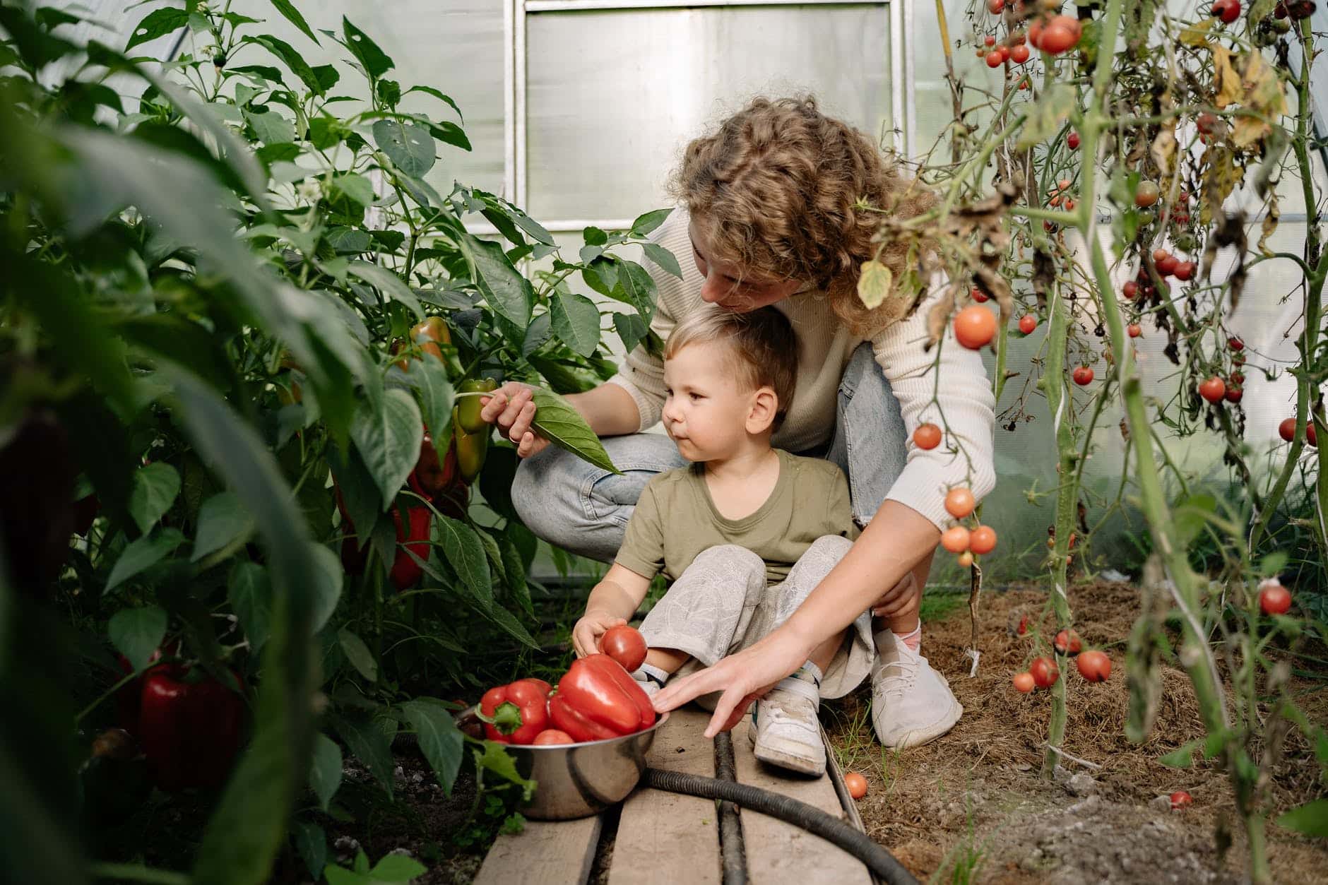 homemade greenhouse ideas