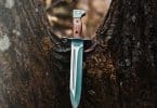 close up shot of a dagger on a tree