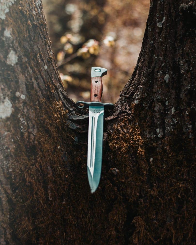 close up shot of a dagger on a tree