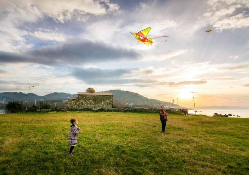 boy flying a kite