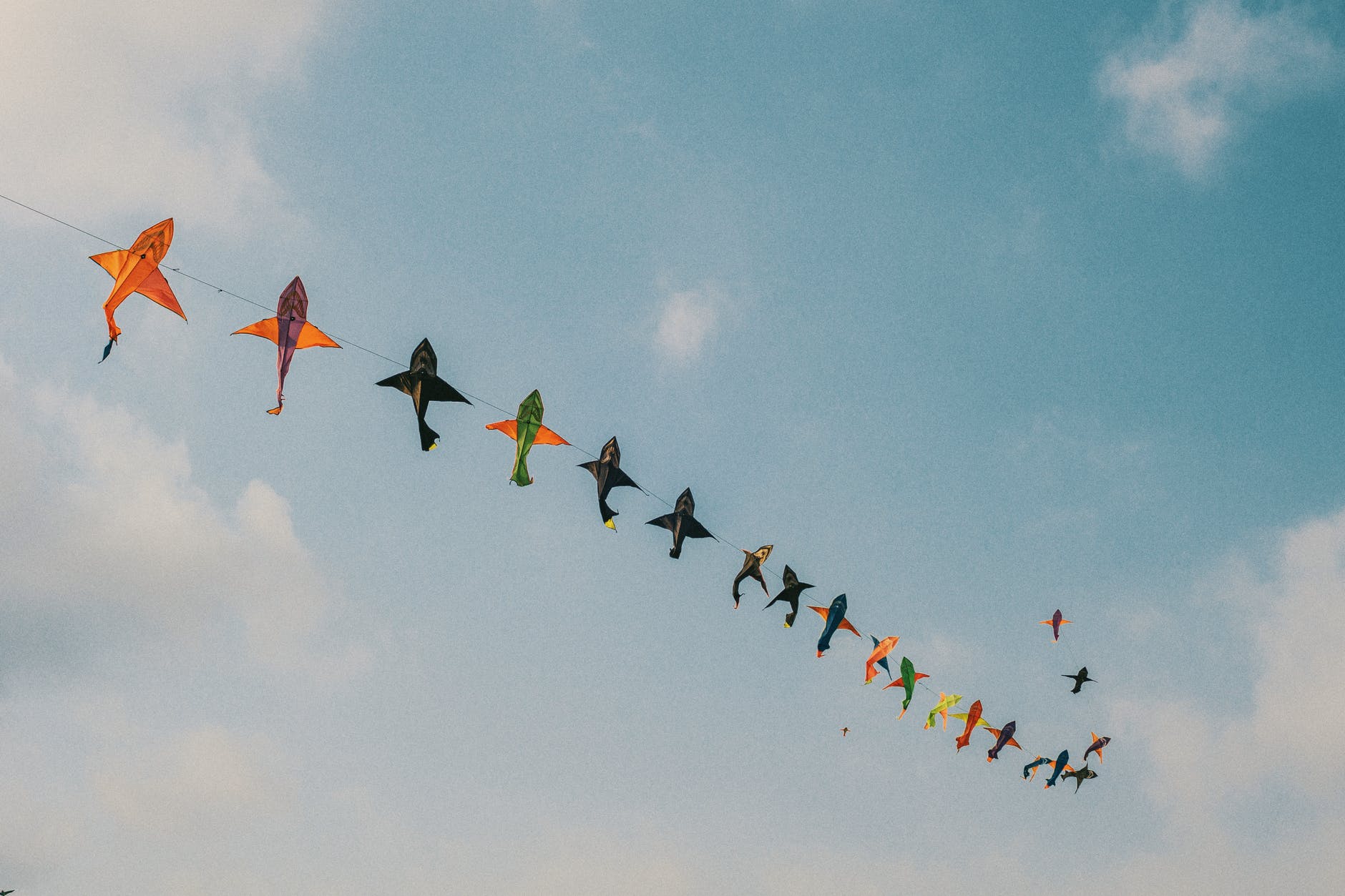 best beach kites