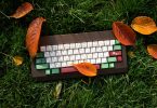 photograph of a keyboard on green grass