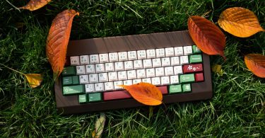 photograph of a keyboard on green grass