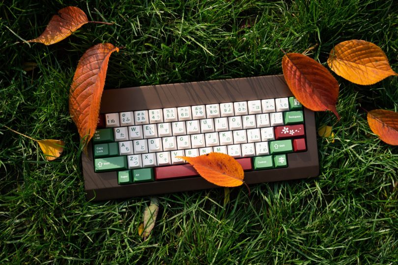 photograph of a keyboard on green grass