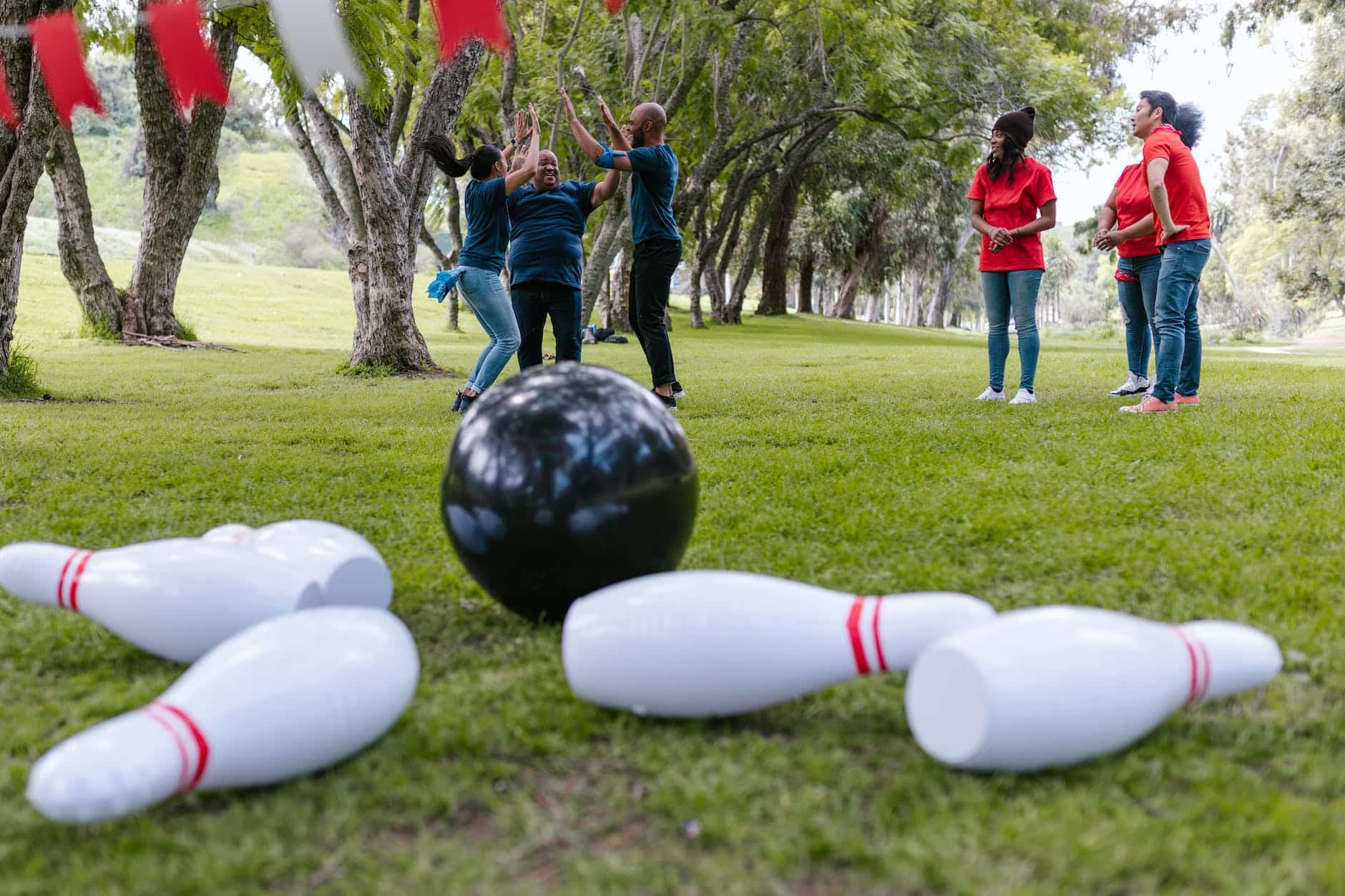 back yard bowling